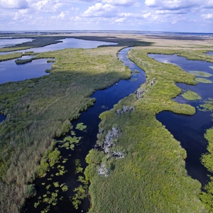 Donaudelta