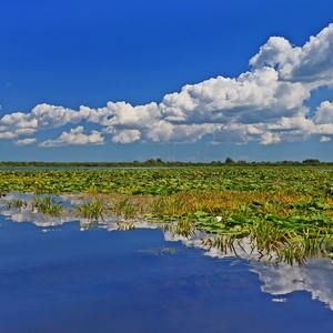 Donaudelta