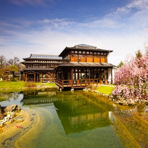 Japanischer Garten in Bad Langensalza