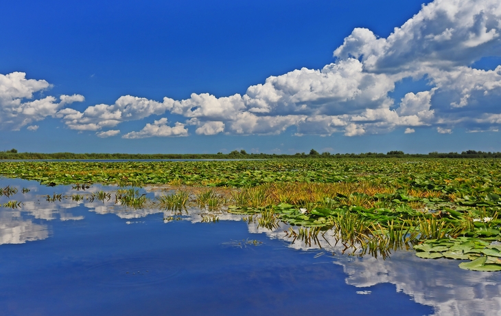 Donaudelta